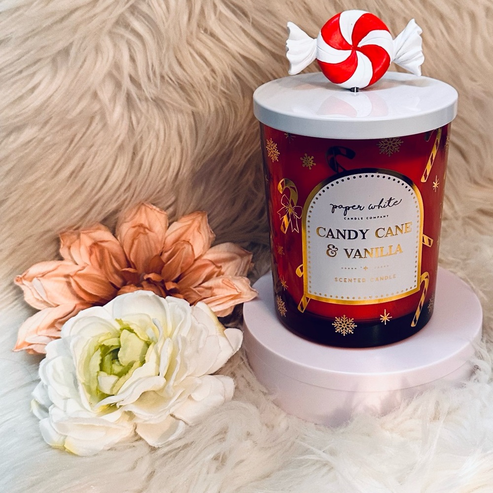 Candy Cane & Vanilla Two Wick Candle 15.2 oz By Paper White Candle Company NEW!
